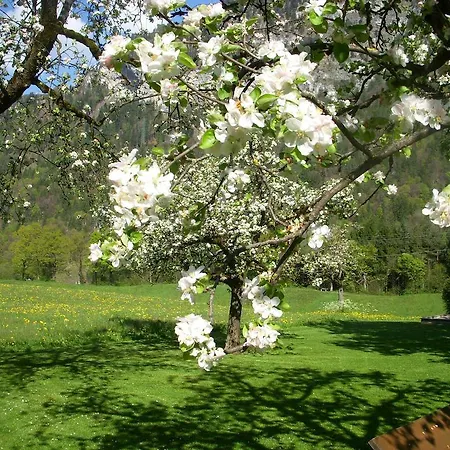 Urlaub Am Bauernhof Windhaghof Kramsach