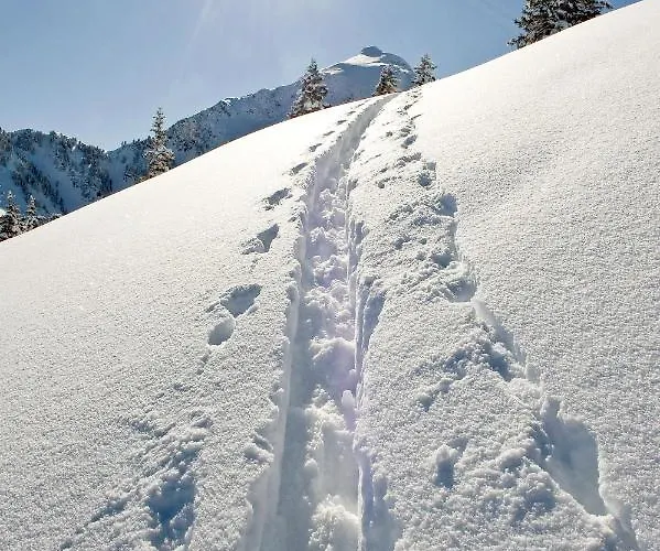 Urlaub Am Bauernhof Windhaghof Farma *