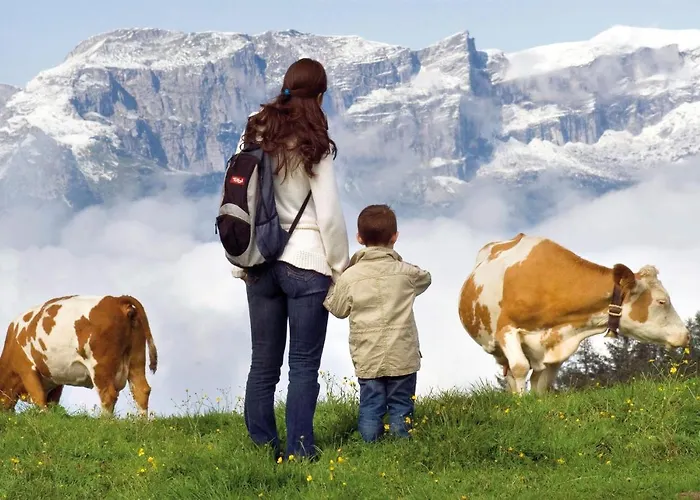 Urlaub Am Bauernhof Windhaghof Farma *