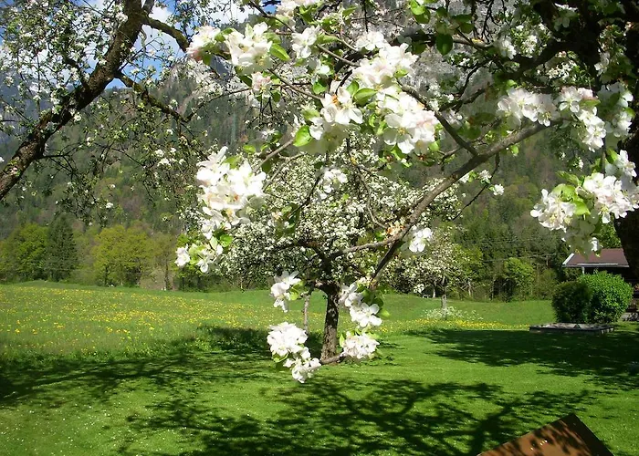 Urlaub Am Bauernhof Windhaghof Kramsach